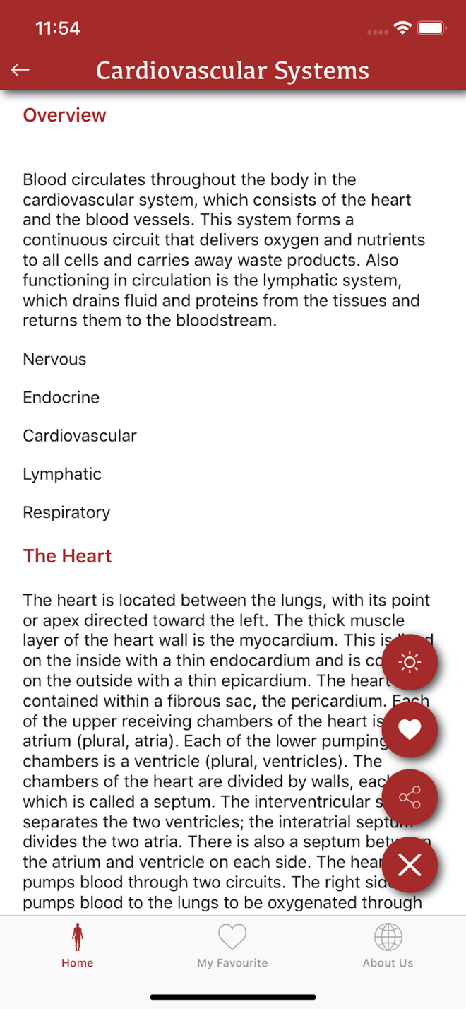 All Body System (4)