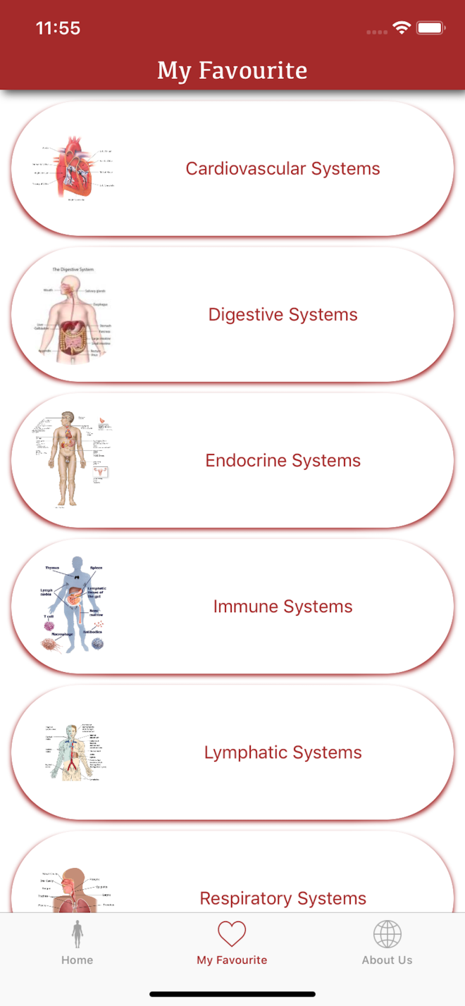 All Body System (7)