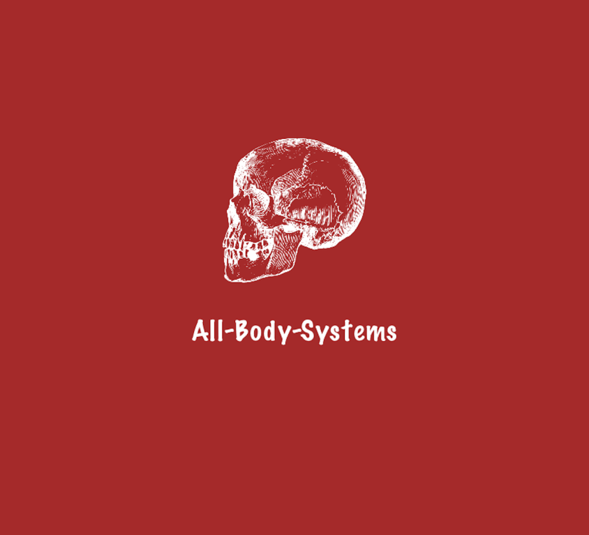 All-Body-Systems Application